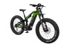 Cyrusher Hurricane Electric Bike Carbon Fiber Mid-Drive 25 MPH 55 Mile Range 1000W New