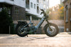 Cyrusher Ovia Electric Bike Step-Through Frame 28 MPH 52 Mile Range 750W New