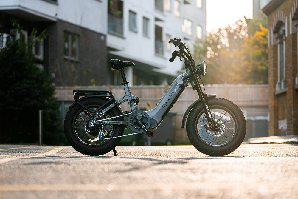 Cyrusher Ovia Electric Bike Step-Through Frame 28 MPH 52 Mile Range 750W New