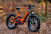 Cyrusher Trax All Terrain Electric Bike Step-Through 24" Tires 28 MPH 56 Mile Range 750W New
