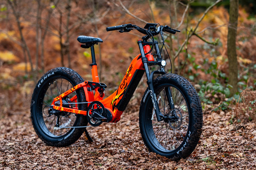 Cyrusher Trax All Terrain Electric Bike Step-Through 24" Tires 28 MPH 56 Mile Range 750W New
